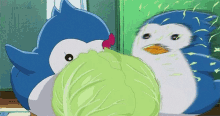 cabbage penguin
