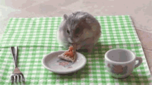 Lunch Dinner GIF - Lunch Dinner Lunch Time GIFs