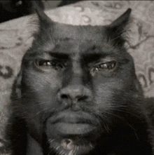 a black and white photo of a cat with a man 's face on it