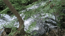 a waterfall is surrounded by trees and rocks in a lush green forest