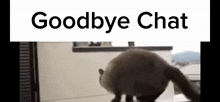 Goodbye Chat Cat Goodbye GIF - Goodbye Chat Cat Goodbye Cat Jump Of Building Fail GIFs