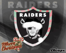 Oakland Raiders Nfl GIF - Oakland Raiders Raiders Nfl GIFs