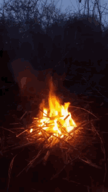 Burning Fure GIF