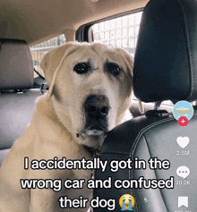 Funny Dog Scared GIF - Funny Dog Scared Confused GIFs