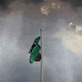 a green and black flag is waving in the wind with a cloudy sky in the background