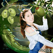 Olive Harvest Picmix GIF