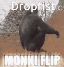 Flairwars Dropfist GIF - Flairwars Dropfist Monki Flip GIFs