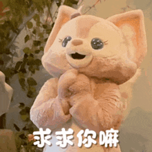 a stuffed animal in a cat costume with chinese writing on it .