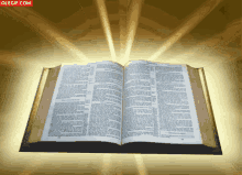 The Word Holy GIF - The Word Holy Bible GIFs