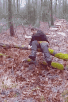 Woods Forest GIF - Woods Forest Fall Off GIFs