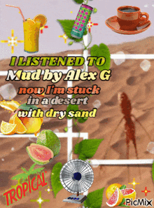 a poster that says i listened to mud by alex g now i 'm stuck in a desert with dry sand tropical