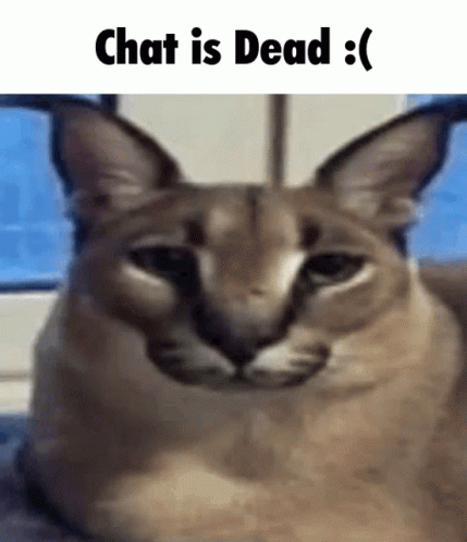 Dead Chat GIF - Dead Chat - Discover & Share GIFs
