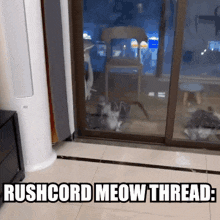 Rushcord Meow GIF - Rushcord Meow Iwush GIFs