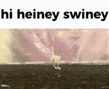 Hi Heiney Swiney Roingus GIF - Hi Heiney Swiney Heiney Swiney Roingus GIFs