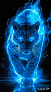 a blue leopard is surrounded by blue flames on a dark background