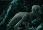 a picture of a gorilla with the words up up up on the bottom