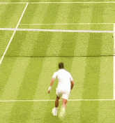 Novak Djokovic Net GIF - Novak Djokovic Net Tennis GIFs