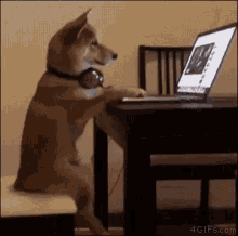 Dog Techie GIF - Dog Techie Typing GIFs