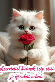 a white cat is holding a red rose in its paws with a foreign language written below it