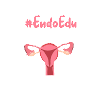 Endometriosis Education Sticker - Endometriosis Education Stickers