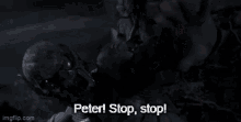Peter Stop Stop Its Me Spiderman GIF - Peter Stop Stop Its Me Peter Stop Spiderman GIFs