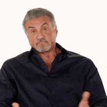 That'S The Truth Sylvester Stallone GIF - That'S The Truth Sylvester Stallone The Family Stallone GIFs