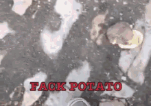 a picture of a potato with the words " fack potato " written on it