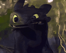 How To Train Your Dragon Toothless Dragon GIF