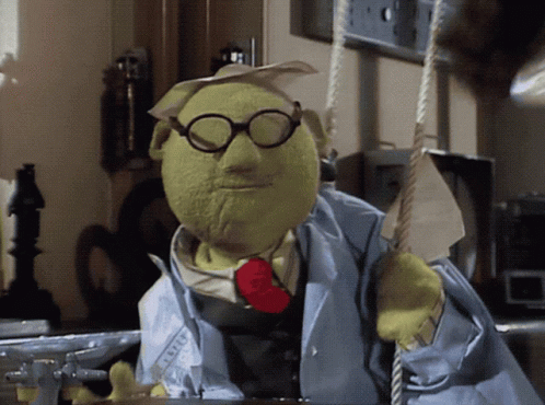 Muppet Show Muppets GIF - Muppet Show Muppets Bunsen Honeydew - Discover &  Share GIFs