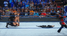 a wrestler is kneeling down in a wrestling ring while a referee watches .