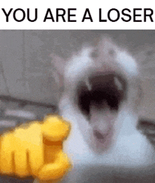 a white cat is being pointed at by a yellow hand .