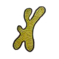 a drawing of a ginger root with a black outline on a white background