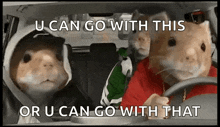 three hamsters are driving a car with the caption u can go with this or u can go with that