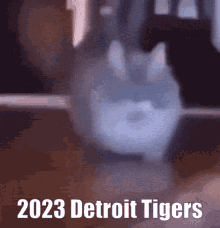 2023 Detroit GIF - 2023 Detroit Tigers GIFs