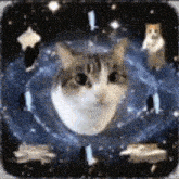 a cat is looking out of a hole in the galaxy .
