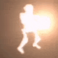 a silhouette of a person holding a shield in a dark room .