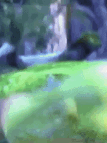 Confused Shrek GIF - Confused Shrek Woah GIFs