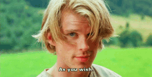 As You Wish GIF - Movie Action Comedy GIFs