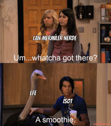 an ostrich is being held by a man in a blue shirt and the caption says efe isot a smoothie