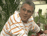 a man wearing glasses and a striped shirt is sitting in front of a plant