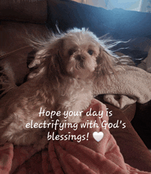 God'S Blessings God GIF - God'S Blessings God Dogs GIFs
