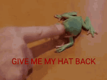 Frog Hat GIF - Frog Hat Give GIFs