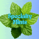 Specialty Mint GIF - Specialty Mint Mint GIFs