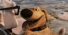 Onde Cachorro Upnasalturas GIF - Where Dog Up Movie GIFs