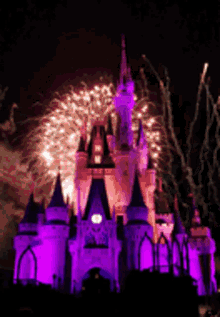Disney Magic Kingdom GIF - Disney Magic Kingdom Castle GIFs