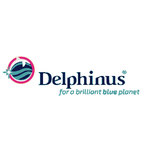 Delphinus Newyear Sticker - Delphinus Newyear Stickers