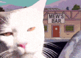 a cat is looking at the mew 's bar