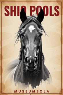 a poster with a horse and the words shio pools museum bola on it