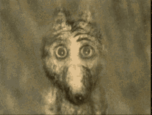 Cursed Weird GIF - Cursed Weird Wolf GIFs