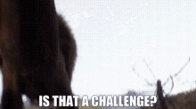 The Lion King Mufasa GIF - The Lion King Mufasa Is That A Challenge GIFs